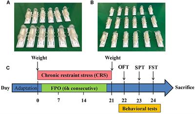 Glucocorticoid-Driven NLRP3 Inflammasome Activation in Hippocampal Microglia Mediates Chronic Stress-Induced Depressive-Like Behaviors